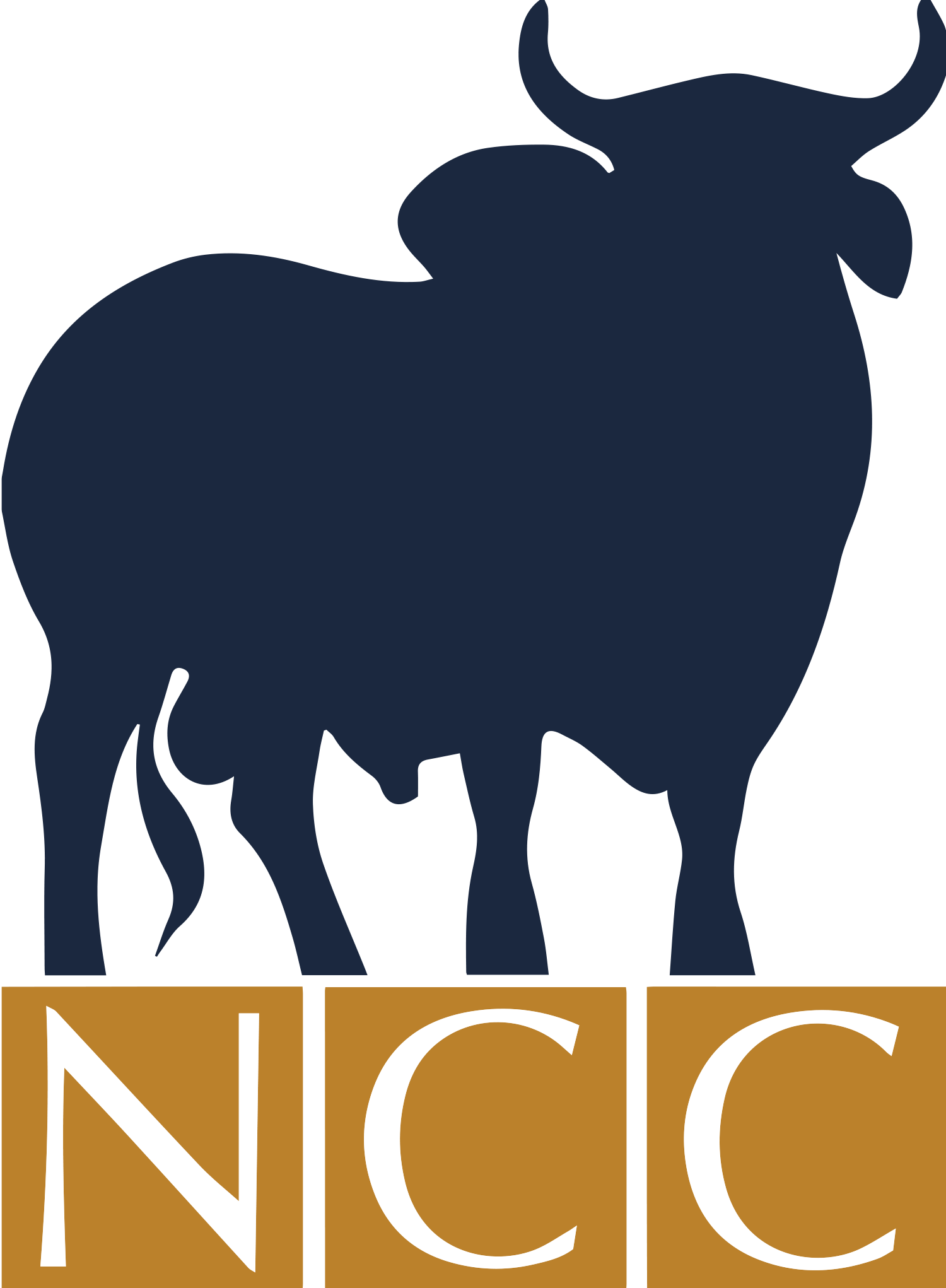NCC Brahmans - Central Queensland Brahman Stud
